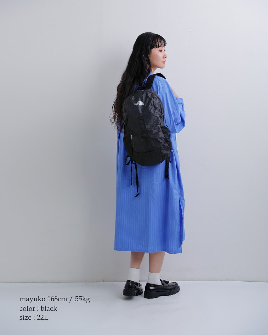 THE NORTH FACE ノースフェイス ポケッタブル メイフライ パック 22L