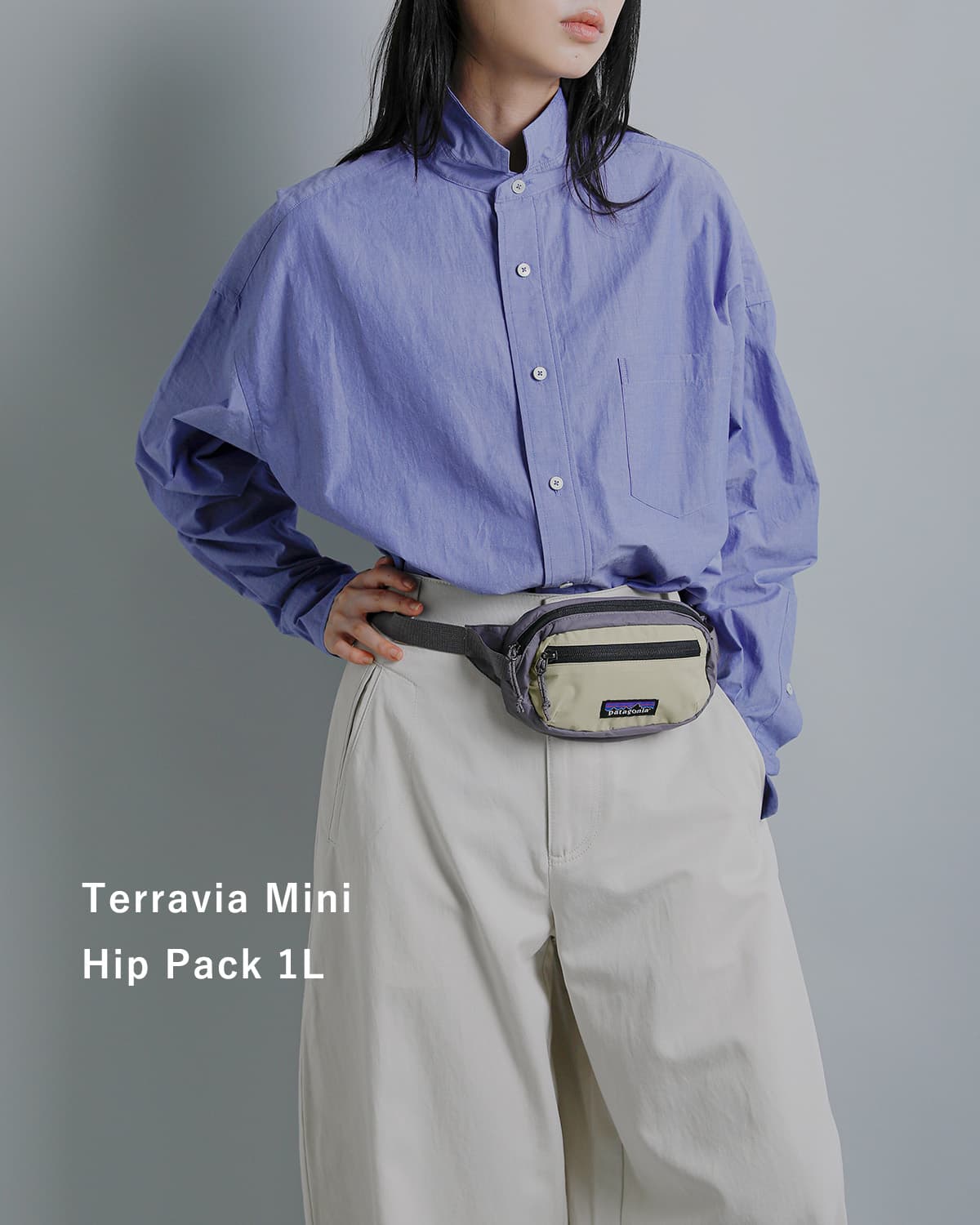 patagonia パタゴニア テラヴィア ミニ ヒップ パック 1L Terravia
