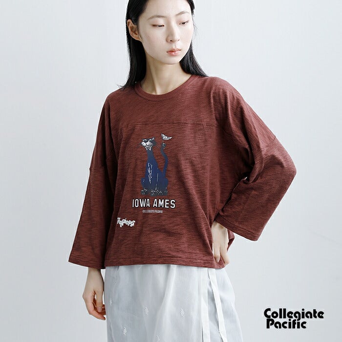 40%OFF】Collegiate Pacific カレッジエイトパシフィック コットン