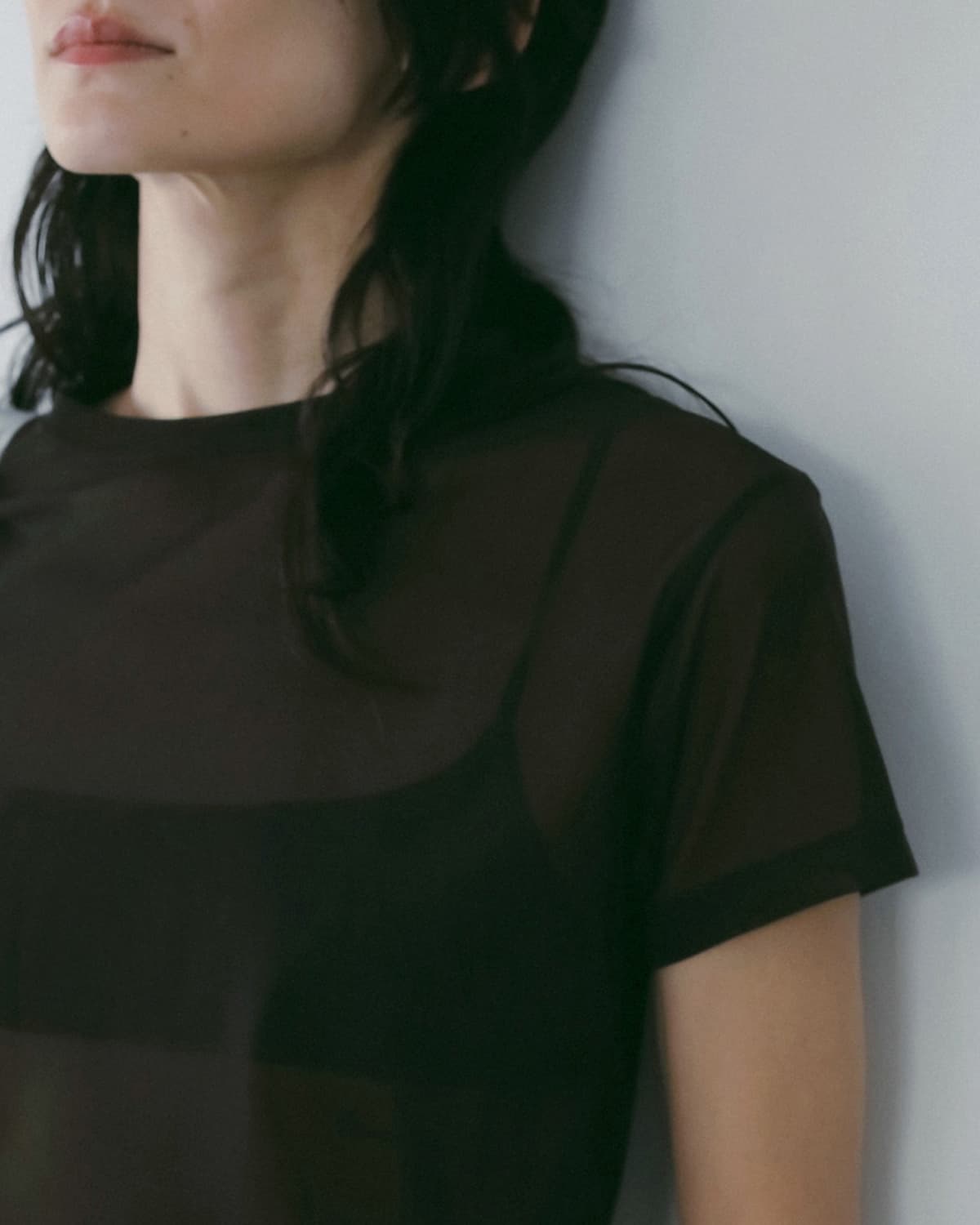 anuke アンヌーク シアー チュール 半袖 Tシャツ Sheer Tulle T-Shirts